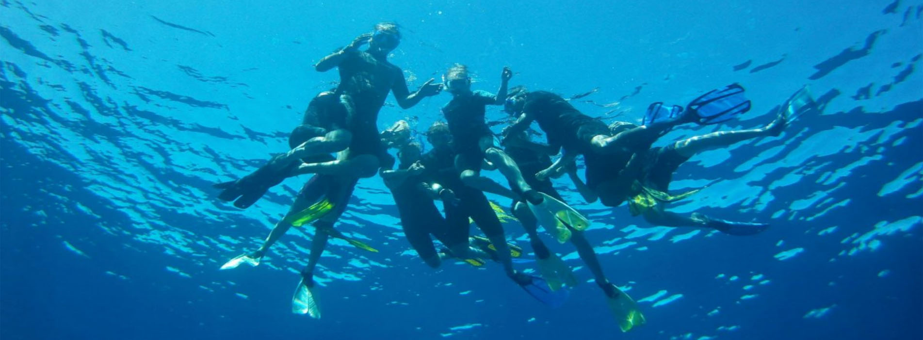 DELUXE HUMPBACK WHALE SWIM TOUR MAHI 2 people swimming