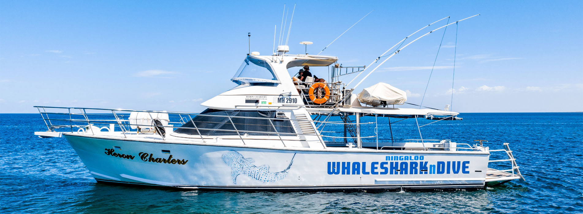 HERON Whaleshark swim dive boat Ningaloo
