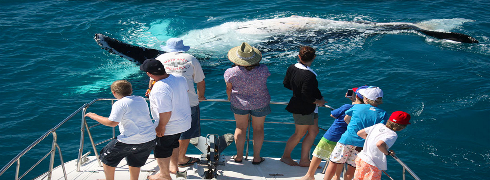 WHALE WATCHING BOAT TOURS passengers West Australia