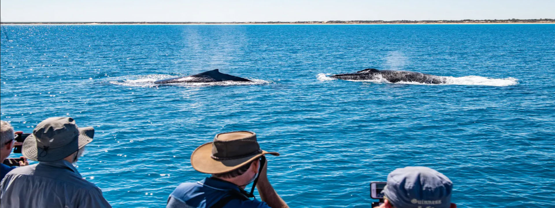 BROOME WHALE WATCHING people on deck