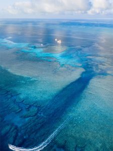 DIVERSITY II ROWLEY SHOALS ATOLL CRUISE
