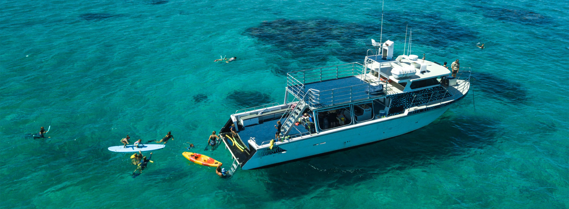 INVESTIGATOR Exmouth Ningaloo Reef Whale swim aerial photo