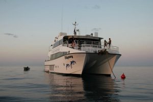 ODYSSEY ROWLEY SHOALS DIVING CHARTERS