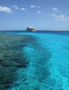 TRUE NORTH ROWLEY SHOALS CRUISES