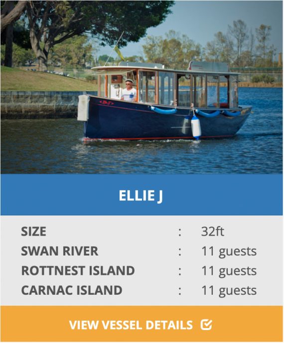 ELLIE J BOAT CHARTERS