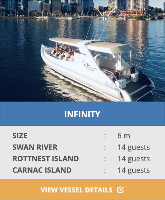 INFINITY FAST BOAT TOURS