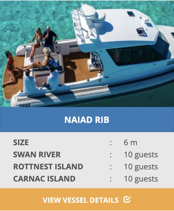 NAIAD RIB boat hire perth waters