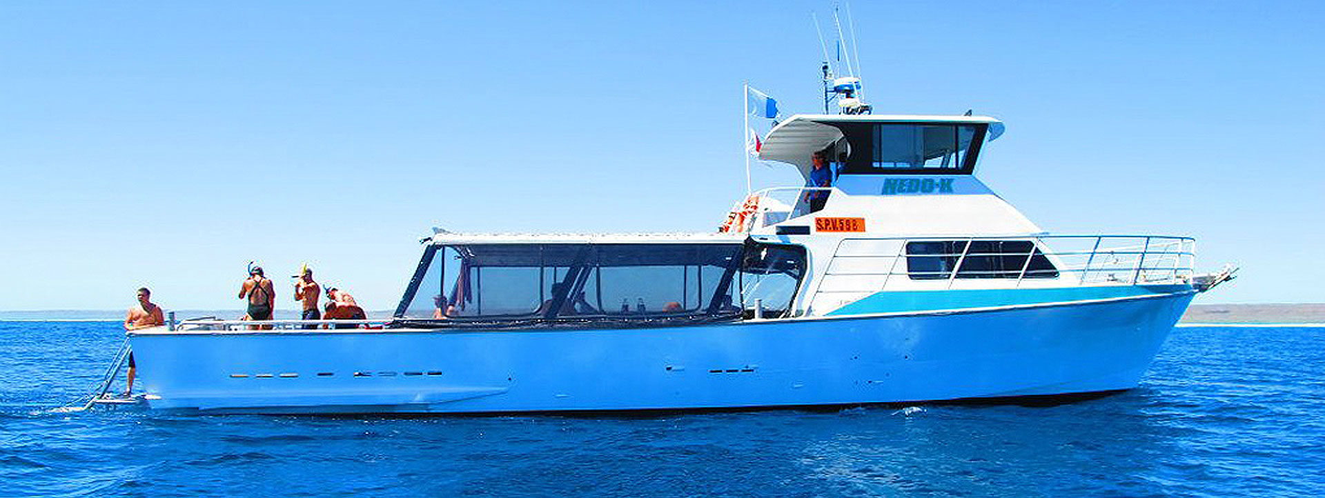 NEDO-K-profile NEDO-K-profile