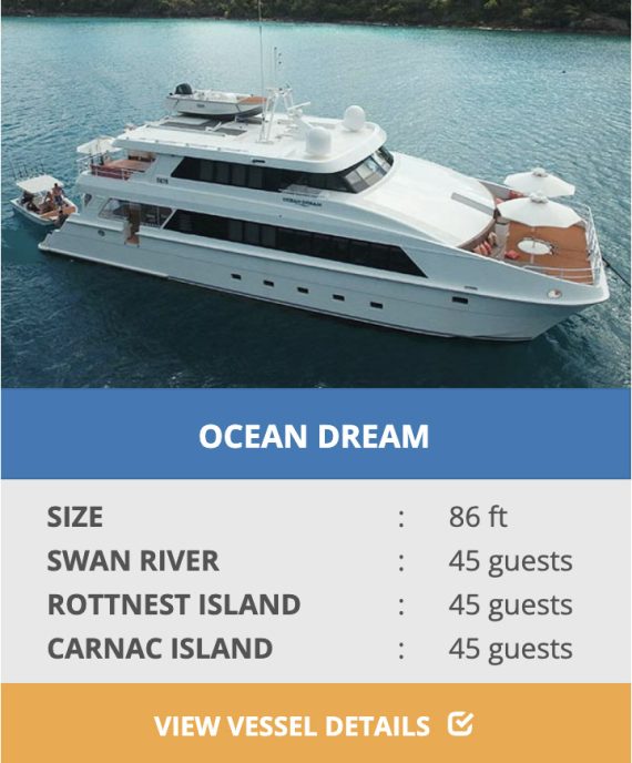 OCEAN DREAM boat charters