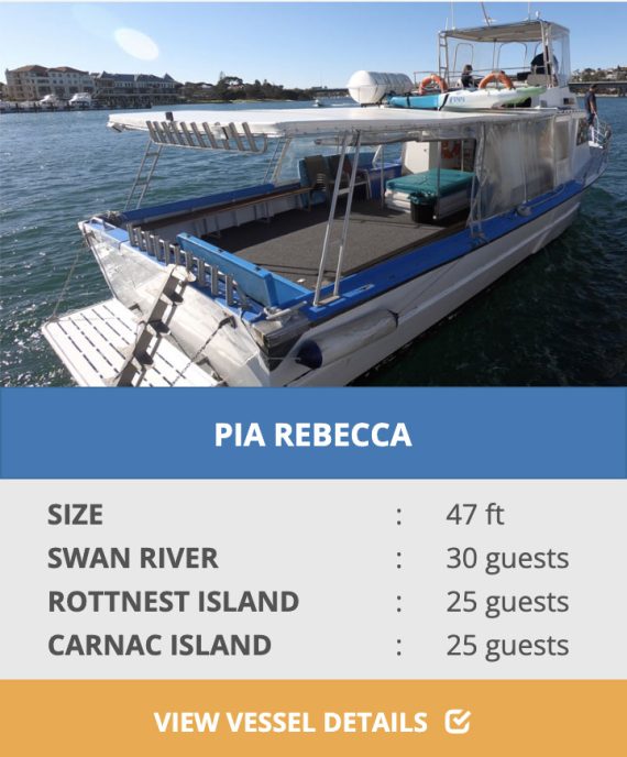 PIA REBECCA Party boat charters
