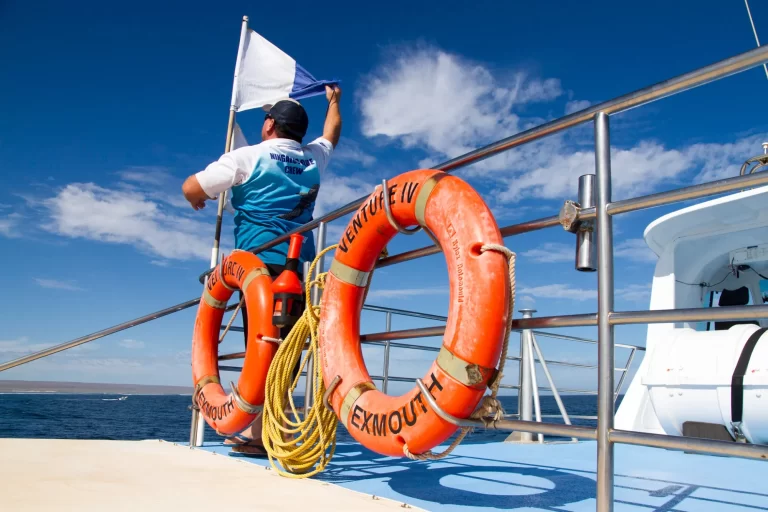 VENTURE IV dive flag