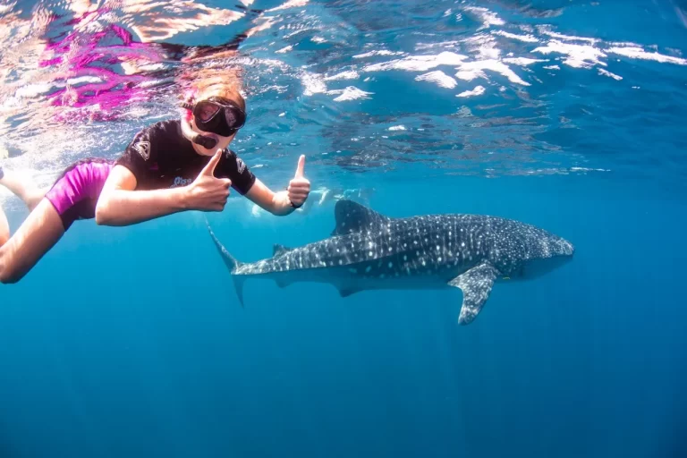 VENTURE IV thumbs up