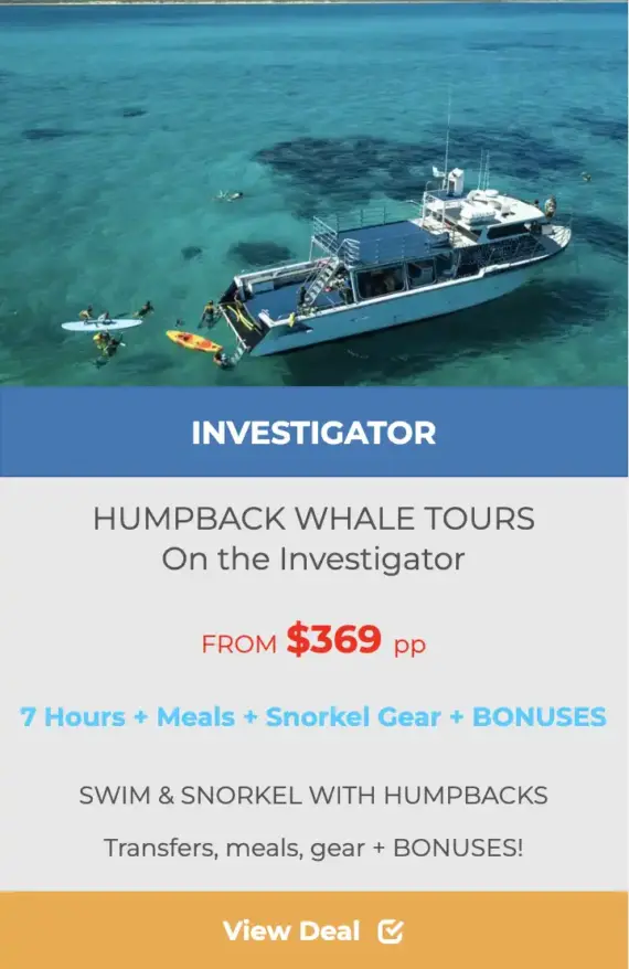 EXMOUTH HUMPBACK WHALE TOURS ON INVESTIGATOR deals