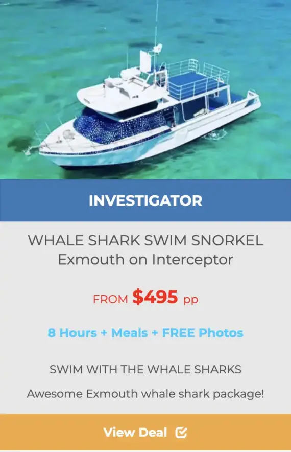 EXMOUTH-WHALE-SHARK-TOURS-ON-INVESTIGATOR deals