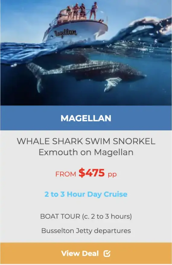 EXMOUTH WHALE SHARK TOURS ON MAGELLAN