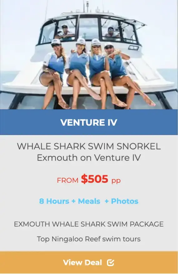 EXMOUTH WHALE SHARK TOURS ON VENTURE IV
