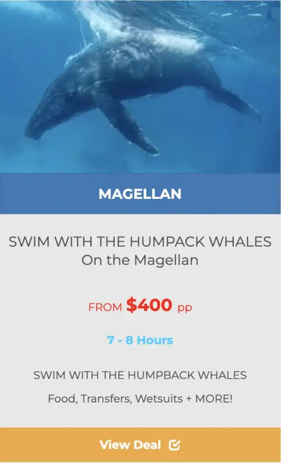 EXMOUTH WHALE SWIM TOURS on MAGELLAN deals