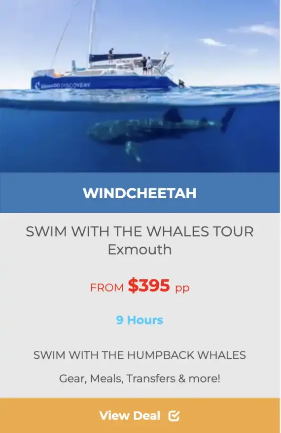 EXMOUTH WHALE SWIM TOURS on WINDCHEETAH deals
